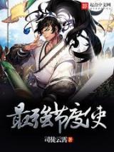 最强节度使小说