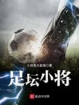 足坛小将小说