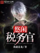 悠闲税务官小说