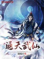 通天武仙小说
