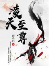 凌天至尊小说