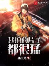 我拍的片子都很猛小说