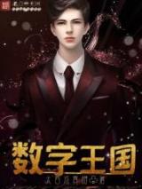 数字王国小说