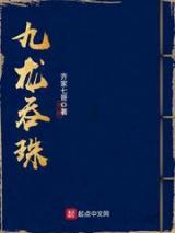 九龙吞珠小说
