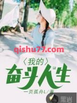我的奋斗人生小说