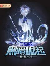 精灵之黑暗崛起小说