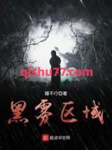 黑雾区域小说
