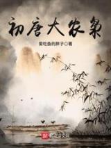 初唐大农枭小说