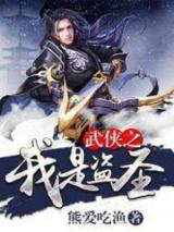 武侠之我是盗圣小说