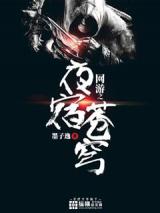 网游之夜宿苍穹小说