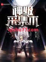神级采集术小说