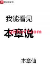 我能看见本章说小说