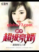 都市超级豪婿小说