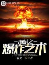 海贼之爆炸艺术小说
