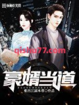 豪婿当道小说