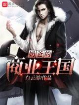 奶爸的商业王国小说