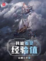 我能看见经验值小说