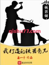 我打造的铁器有光小说