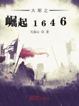 大明之崛起1646小说