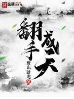 翻手成天小说