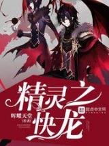 精灵之快龙小说