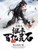 无敌从继承百亿灵石开始小说