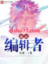 命运编辑者小说