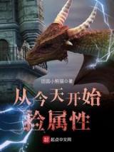 从今天开始捡属性小说