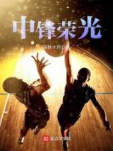 中锋荣光小说