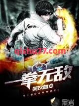 一拳无敌小说