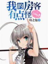 我的房客有点怪小说