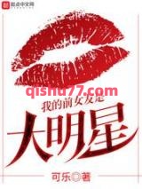 我的前女友是大明星小说