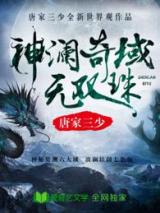 神澜奇域无双珠小说