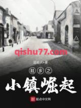 鞋乡之小镇崛起小说