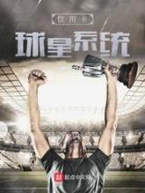 信用卡球星系统小说