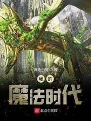我的魔法时代小说