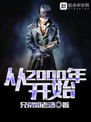 从2000年开始小说