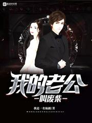 我的老公叫废柴小说