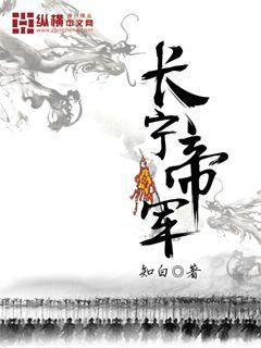 长宁帝军小说