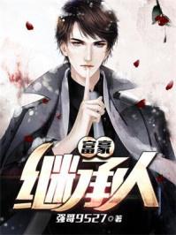 富豪继承人小说