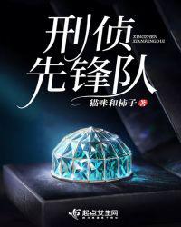 刑侦先锋队小说