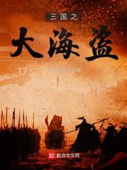 三国之大海盗小说