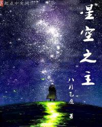 星空之主小说
