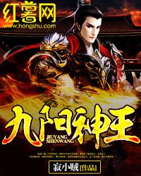 九阳神王小说