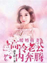 暖婚萌妻：高冷老公内奔腾小说