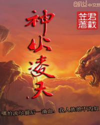 神火凌天小说