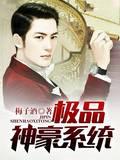 极品神豪系统小说