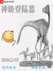 神级登陆器小说