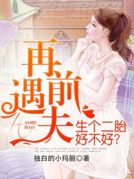 再遇前夫，生个二胎好不好？小说