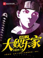 木叶之大娱乐家小说